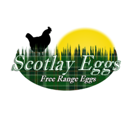 Brand of the Month