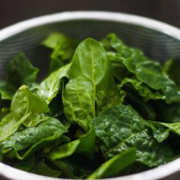 Fresh salads and veg launch
